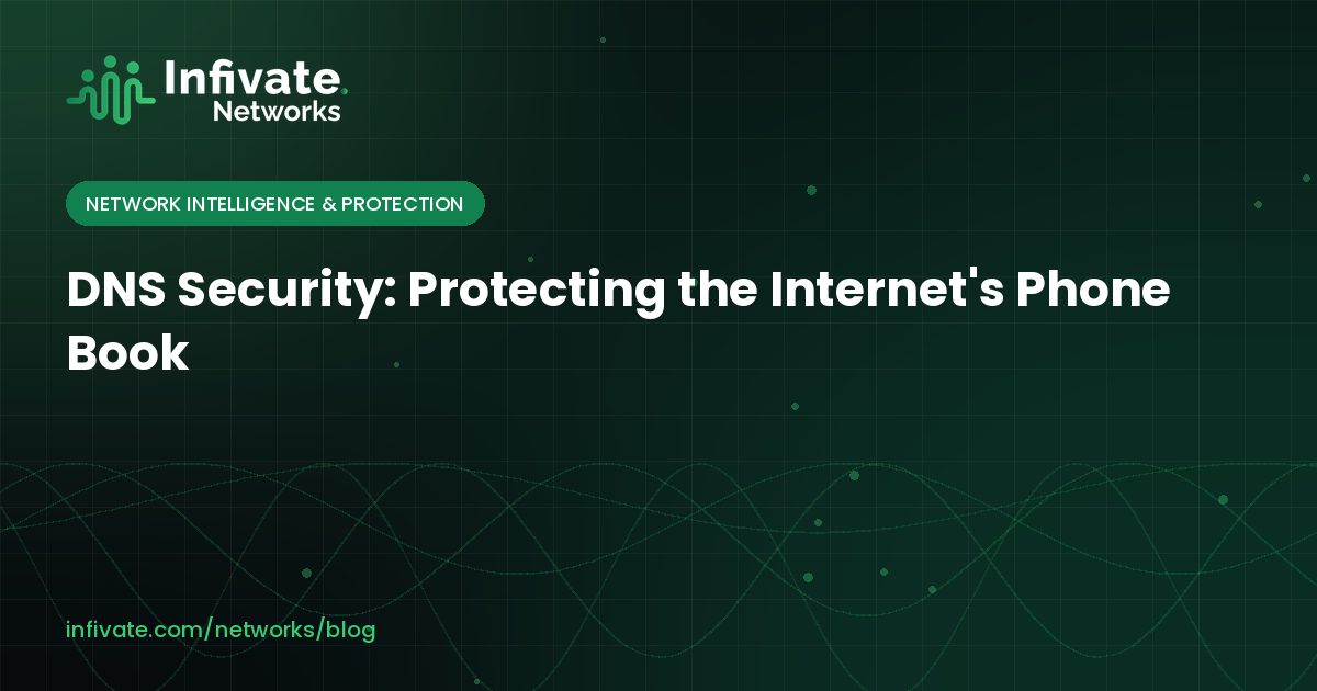DNS Security: Protecting the Internet's Phone Book